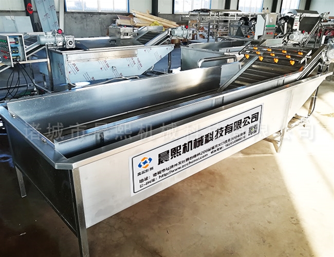 連續式沙棘果清洗機